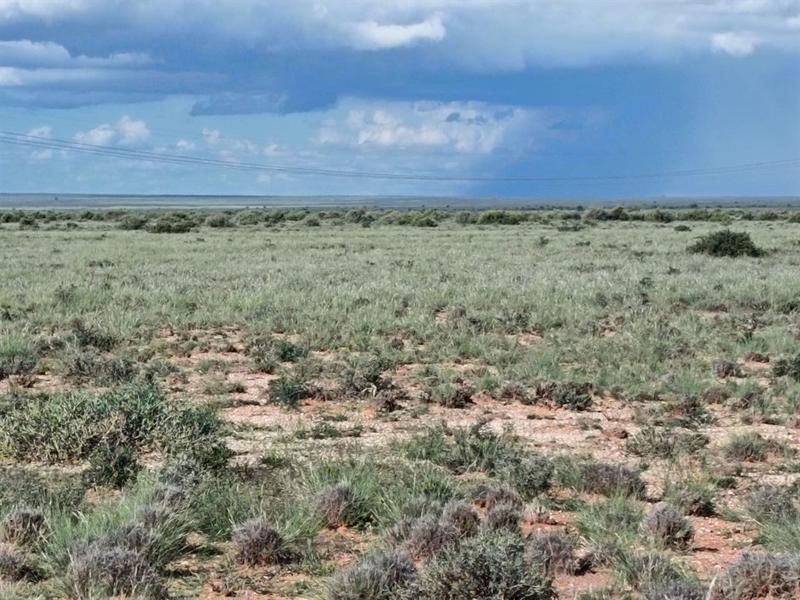 0 Bedroom Property for Sale in Prieska Northern Cape